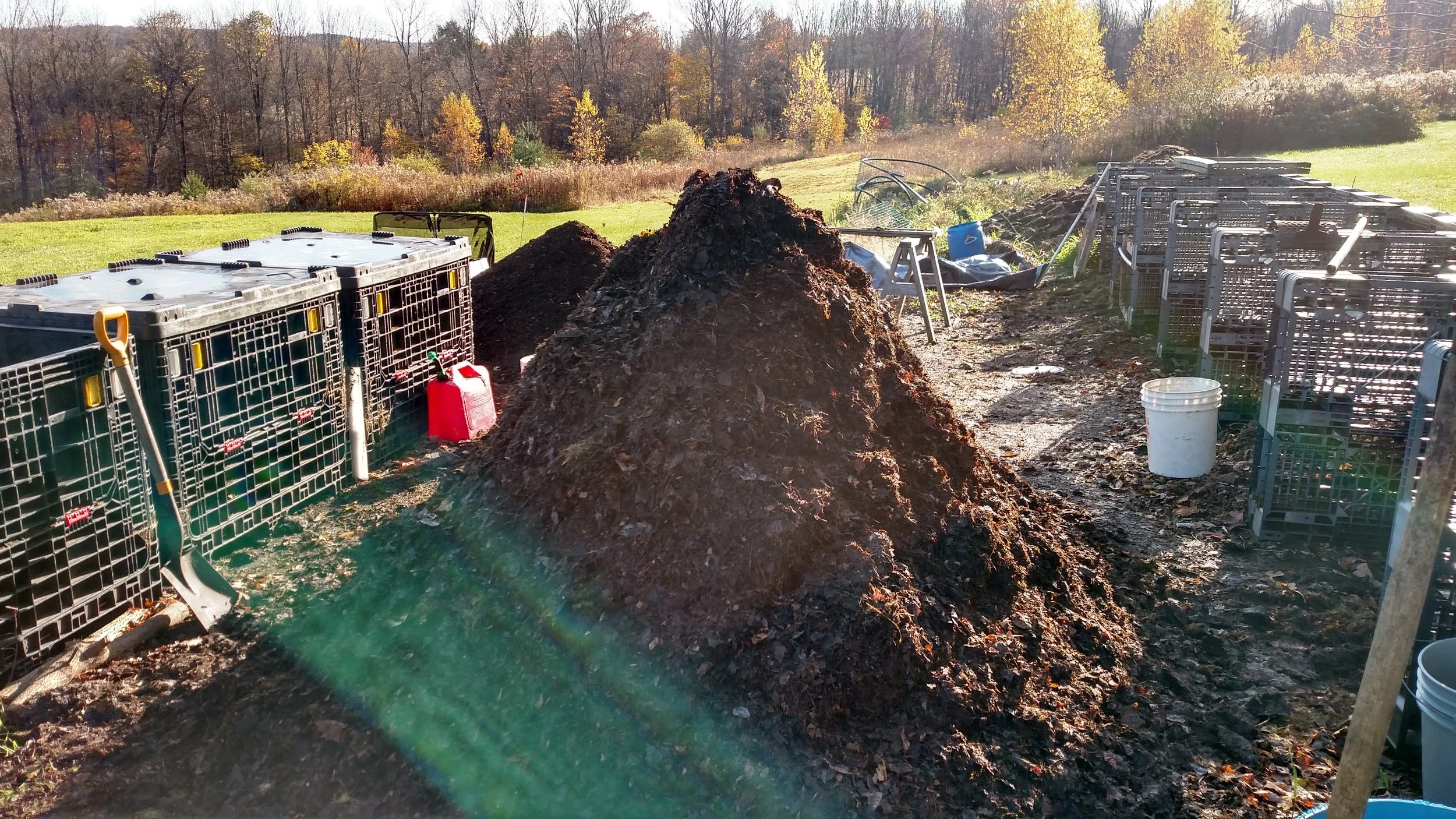 Five Reasons to Compost #2