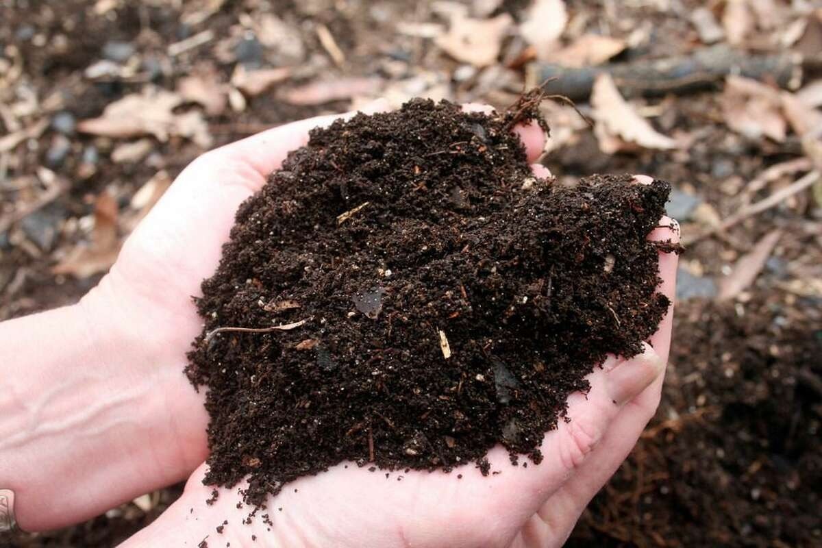 Five Reasons to Compost #4