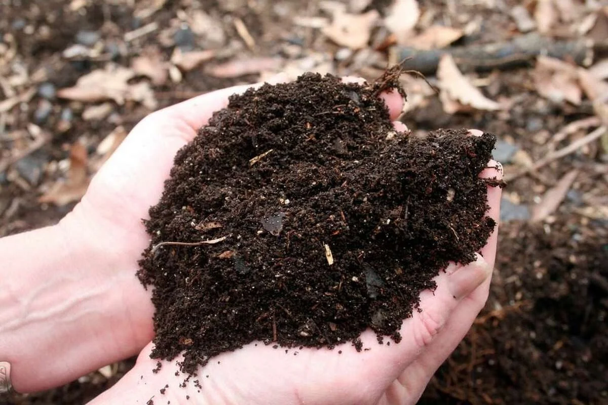 What Can I Compost?