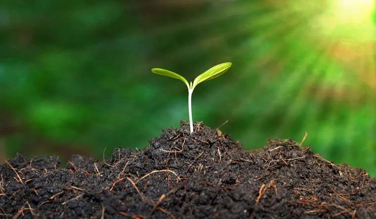 How to Make Compost