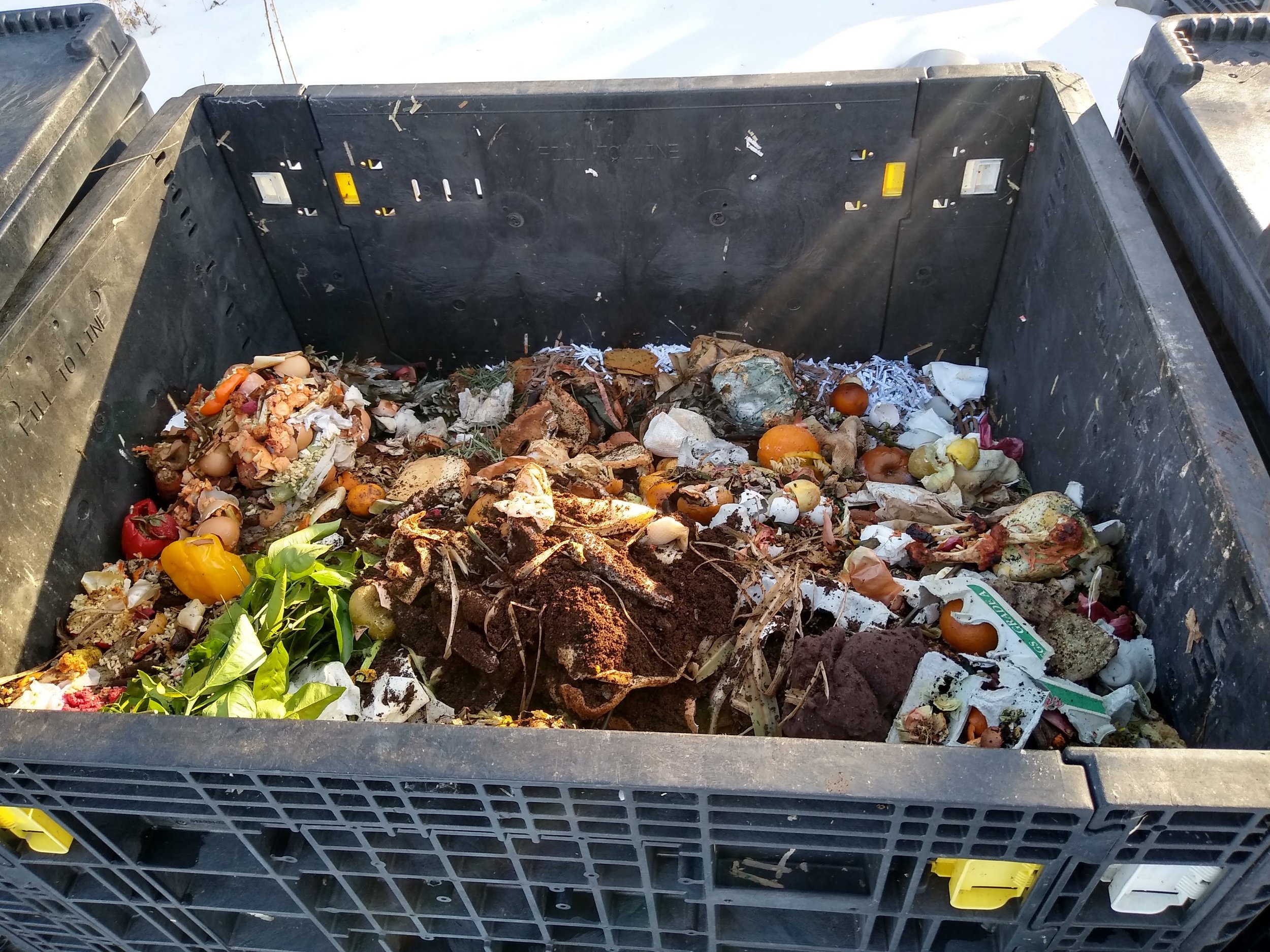 From Food Waste to Garden Soil