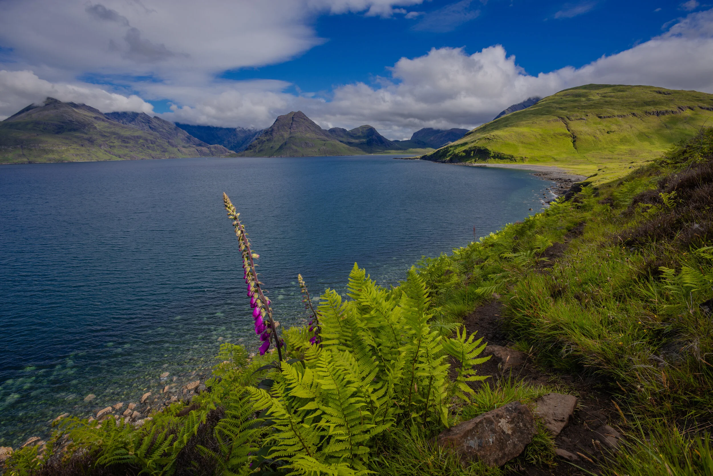 skye2.jpg