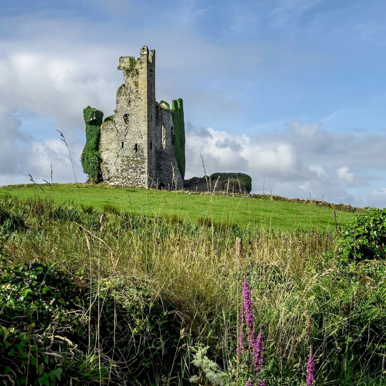Site of Ballymurphy Castle — Ballymurphy