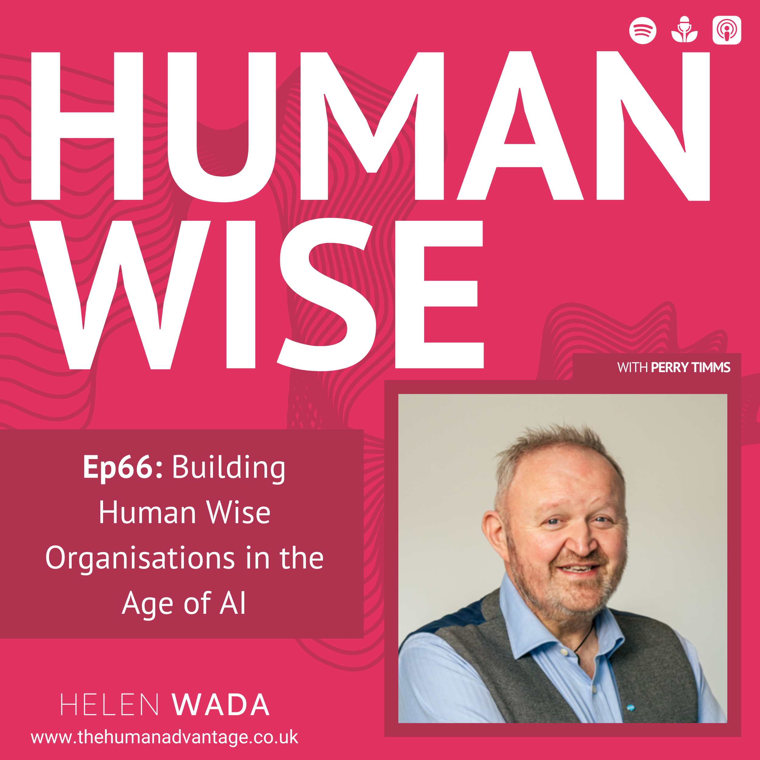 Ep66: Building Human Wise Organisations in the Age of AI with Perry Timms