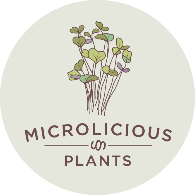 Microlicious Plants