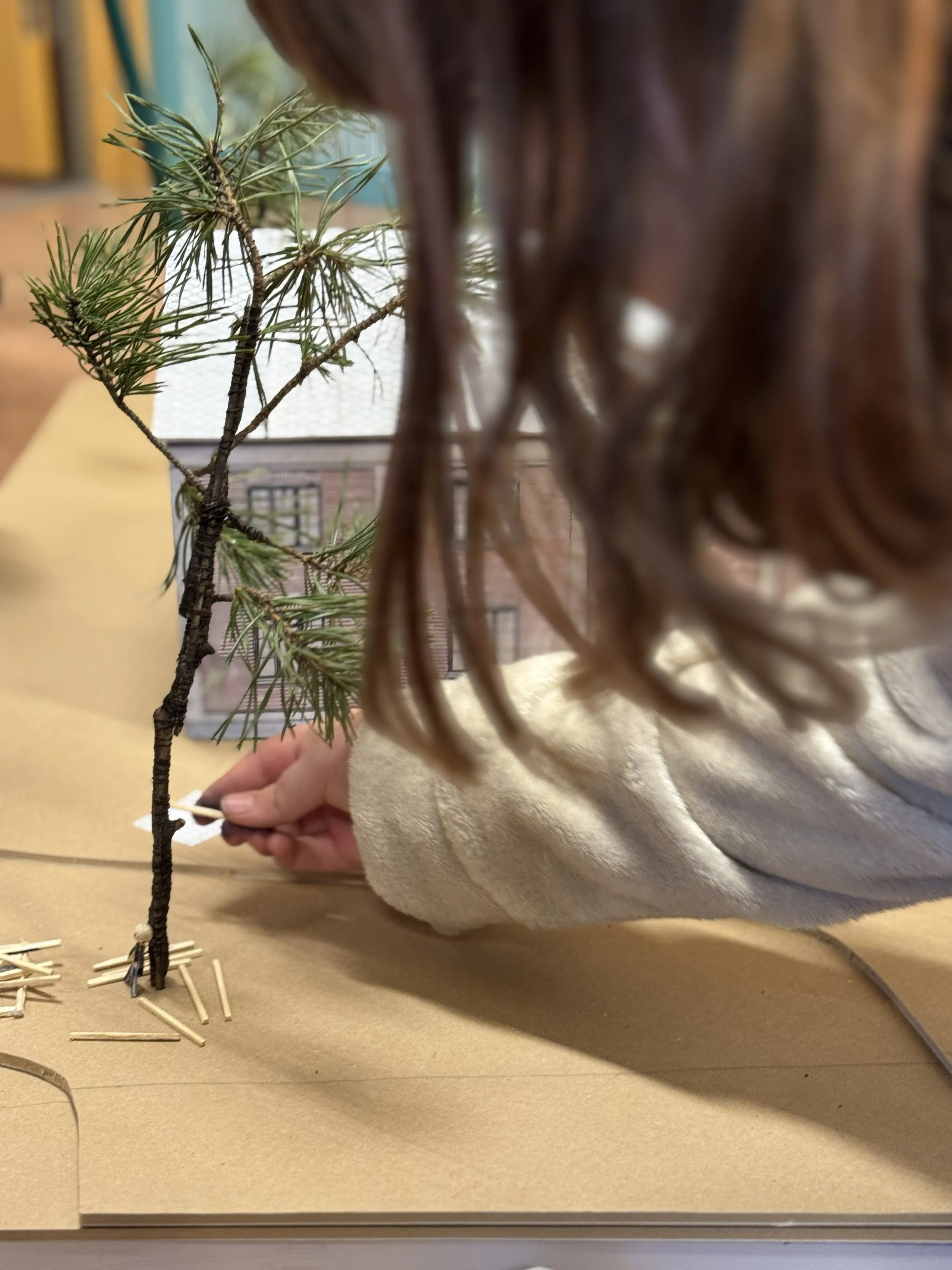 IMG_9676 kopiera.jpg