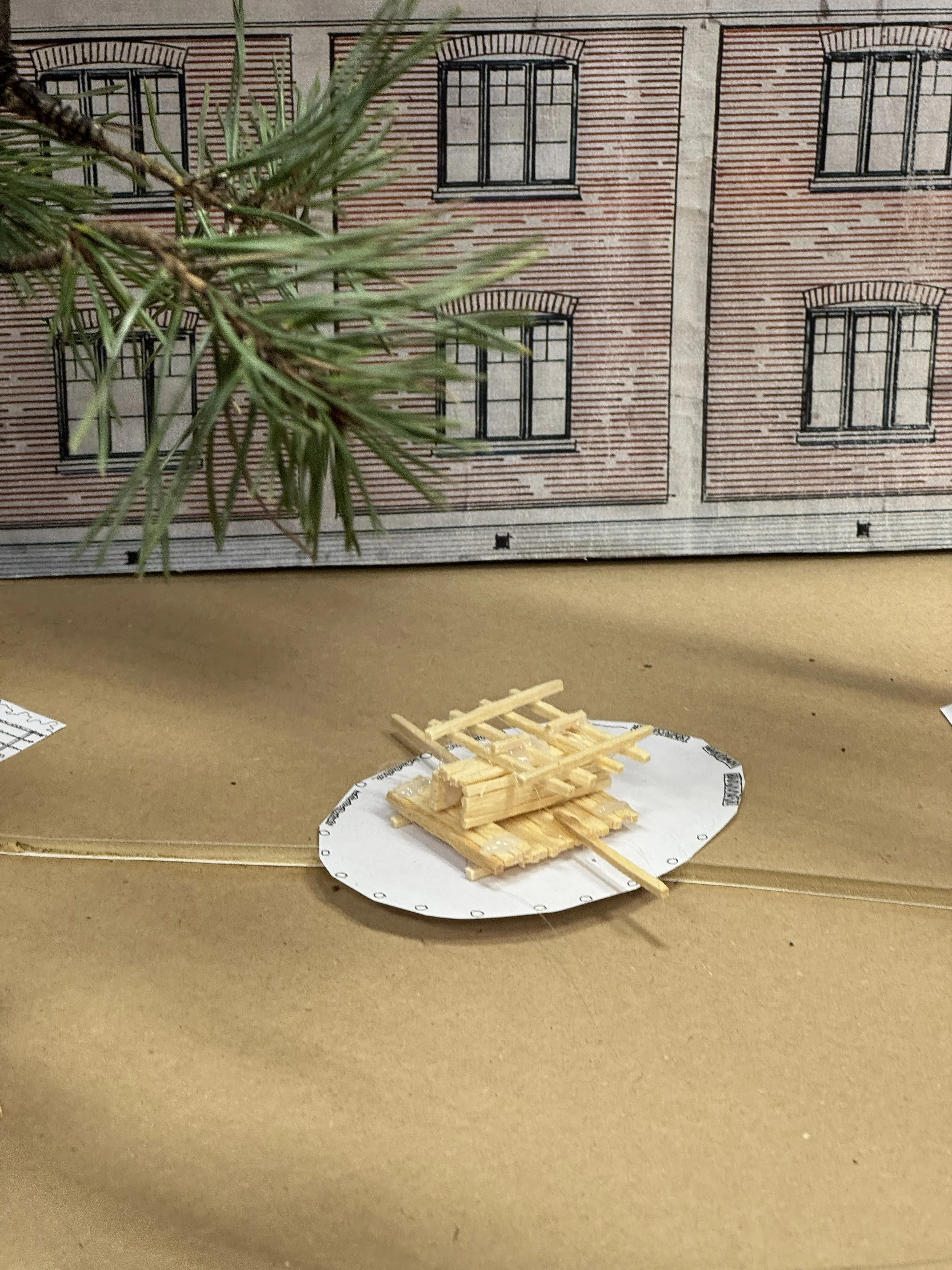 IMG_9674 kopiera.jpg