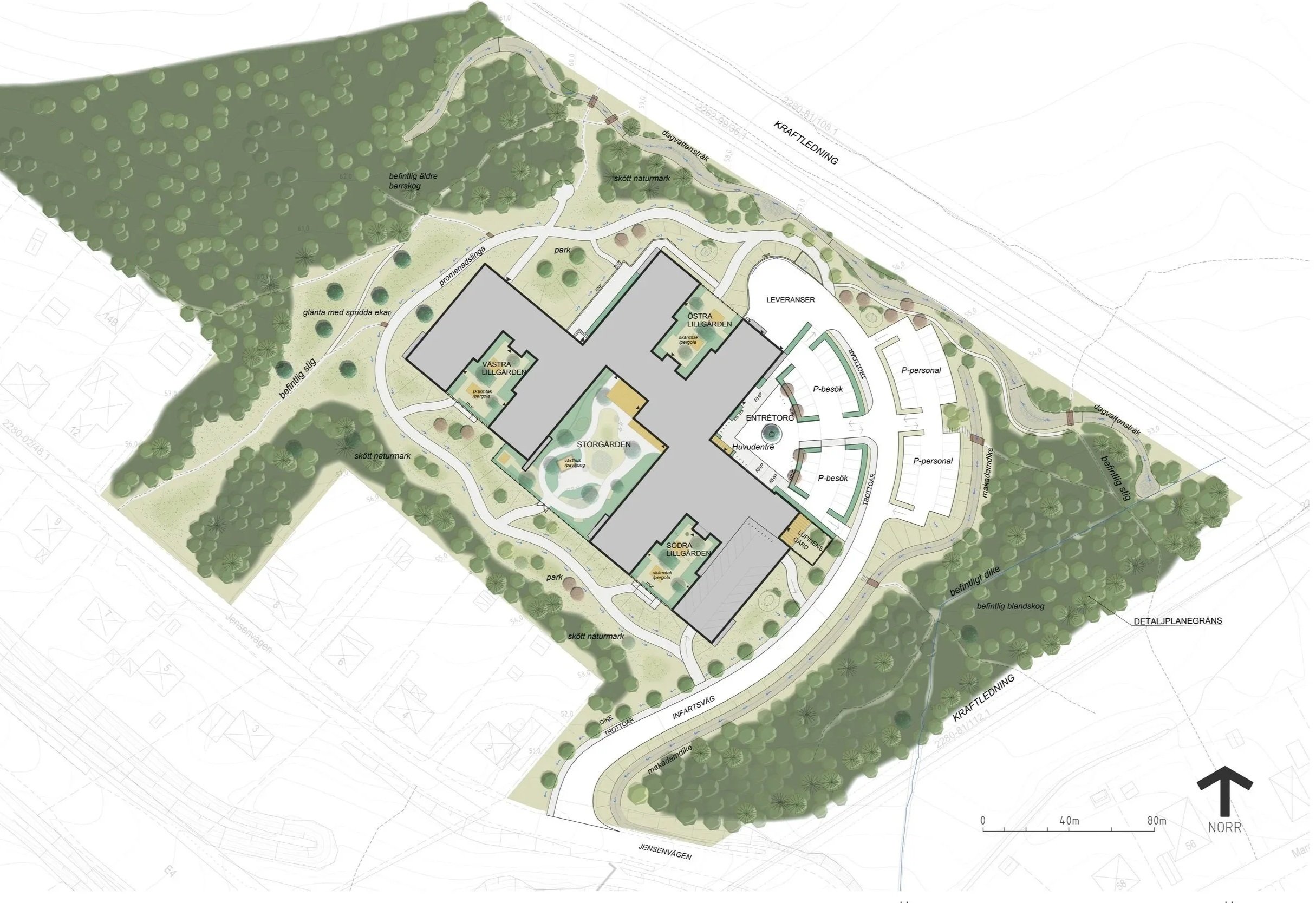 Särskilt boende för äldre