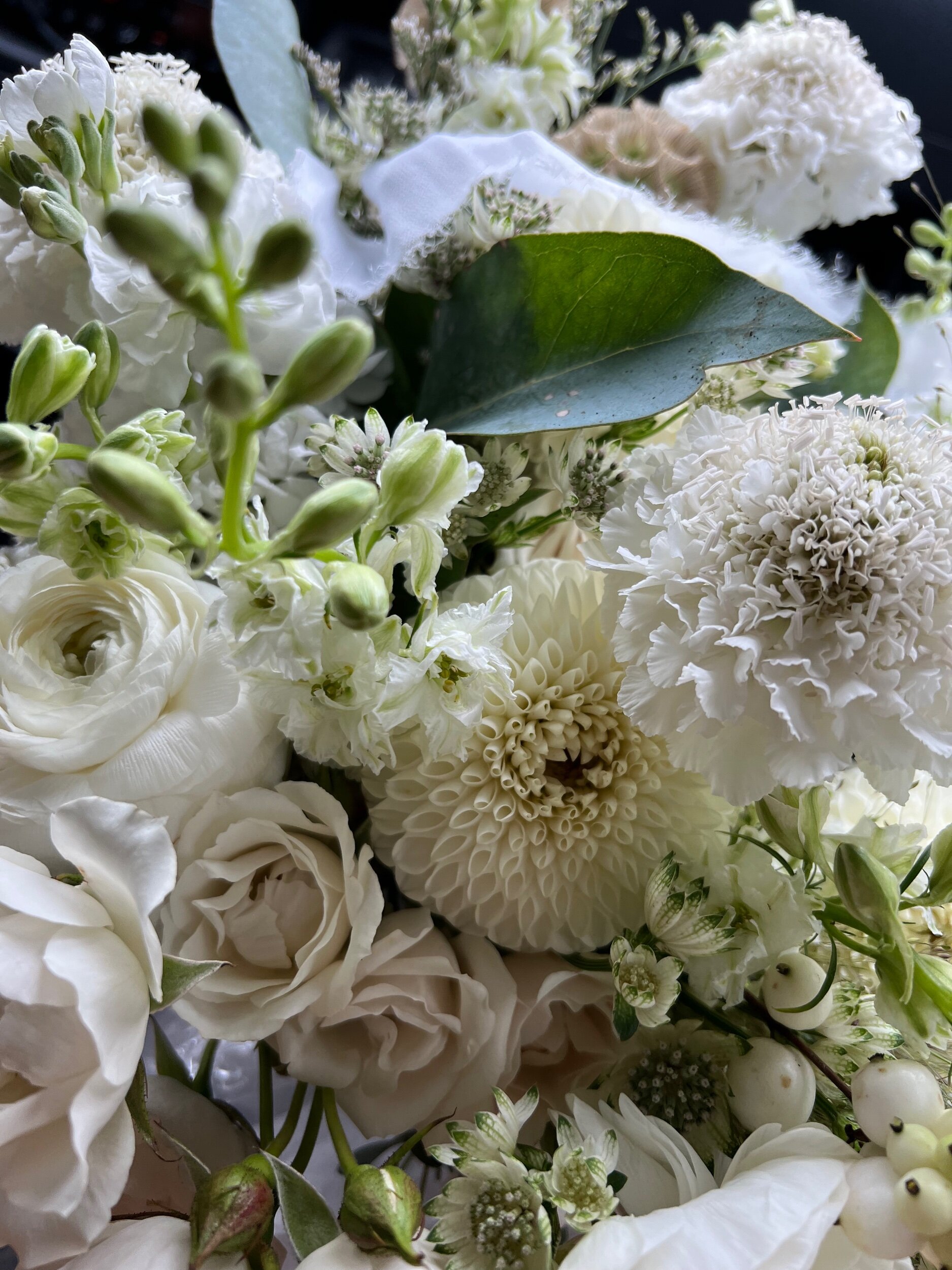 CA81155B-B4AD-4BFC-9522-0CAE31F847A8