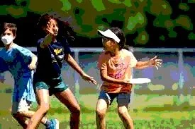 Disc Sports