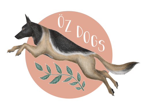 Oz Dogs - Bristol Dog Behaviourists