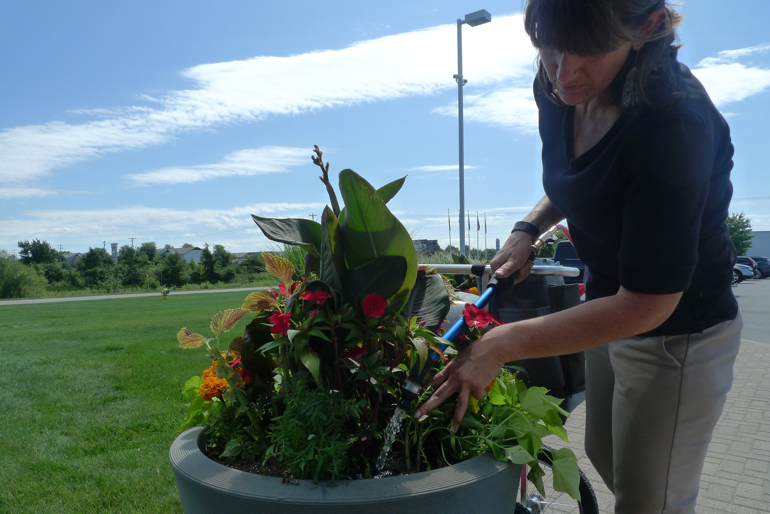 Exterior Plants — Integrated Plantscapes