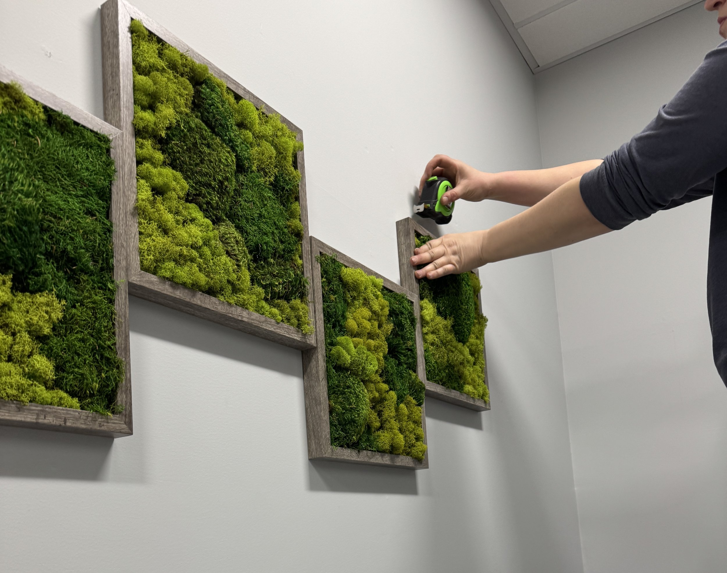 Hands holding a measuring tape against a moss panel.