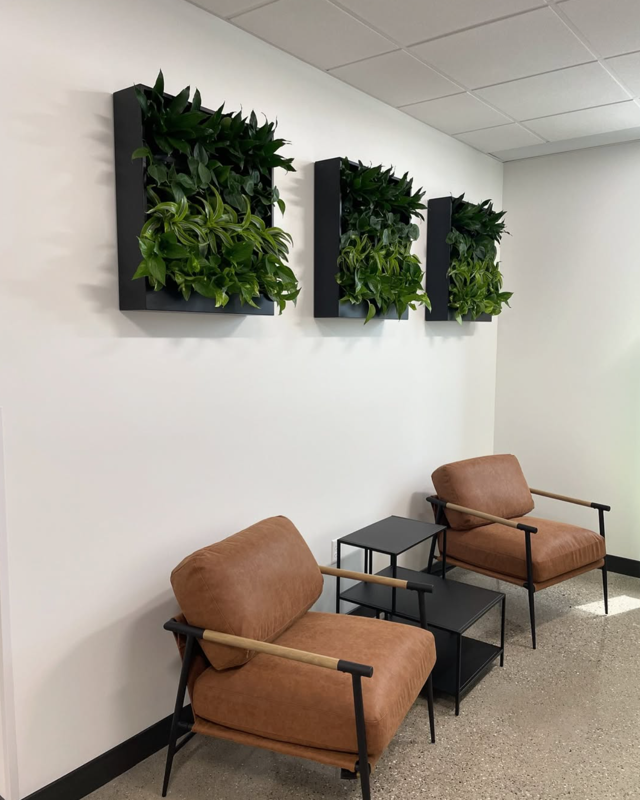 Three framed living wall panels with pothos and dracaena above a waiting area.