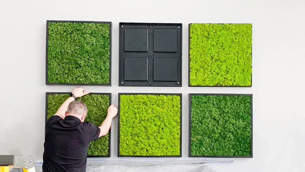 A man arranges a moss panel on a wall.