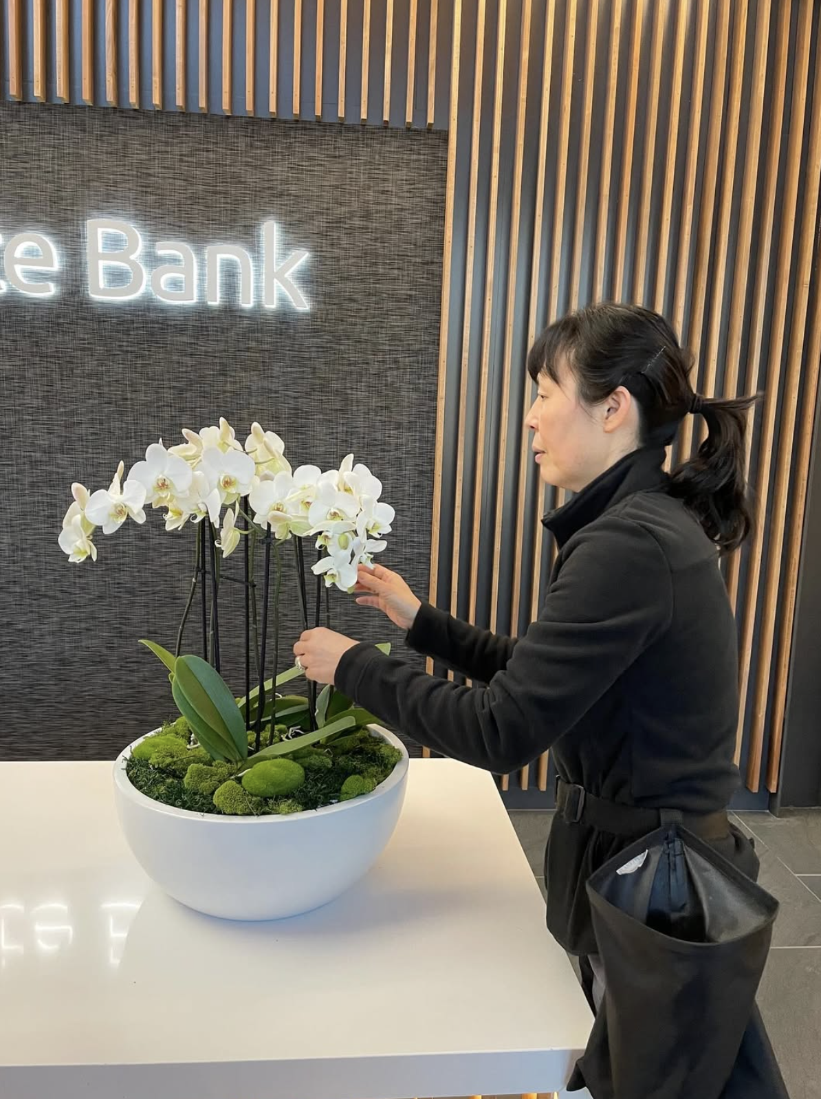 Horticulturist arranging a white orchid and moss centerpiece on a reception desk.