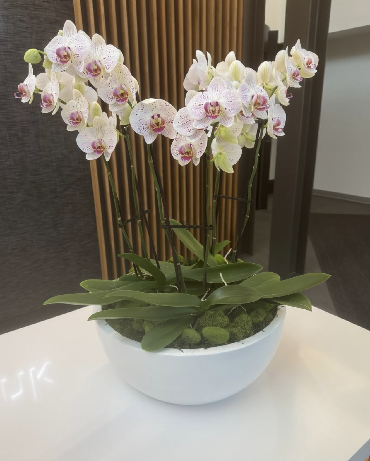 Pink and white orchids sit on a reception desk in an office.