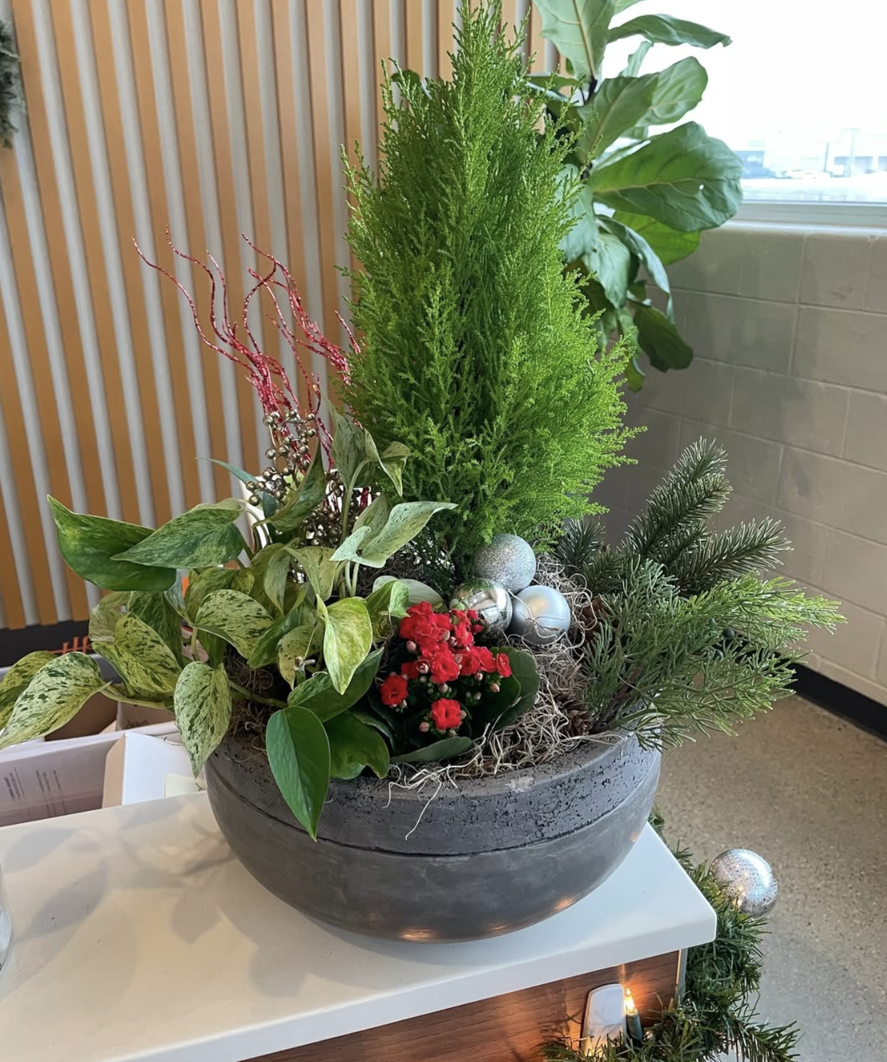Holiday container with evergreens, red kalanchoe, and silver ornaments.