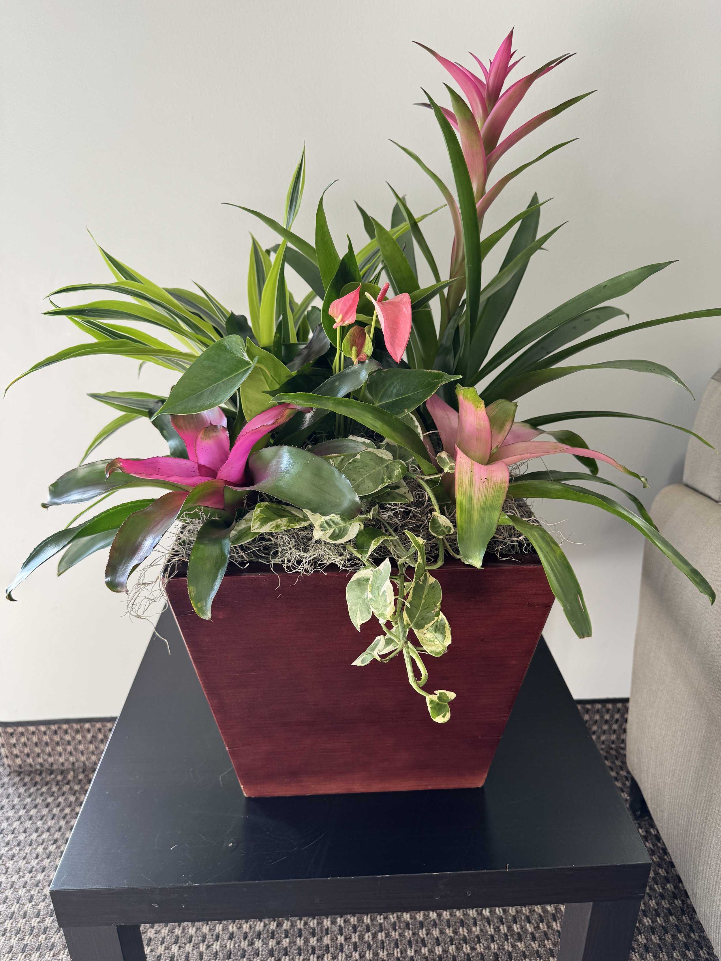 Flowering plant arrangement with anthurium, bromeliad, and dracaena.