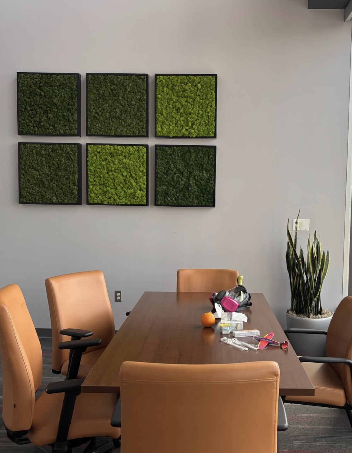 Six  moss panels on a wall in a meeting room.