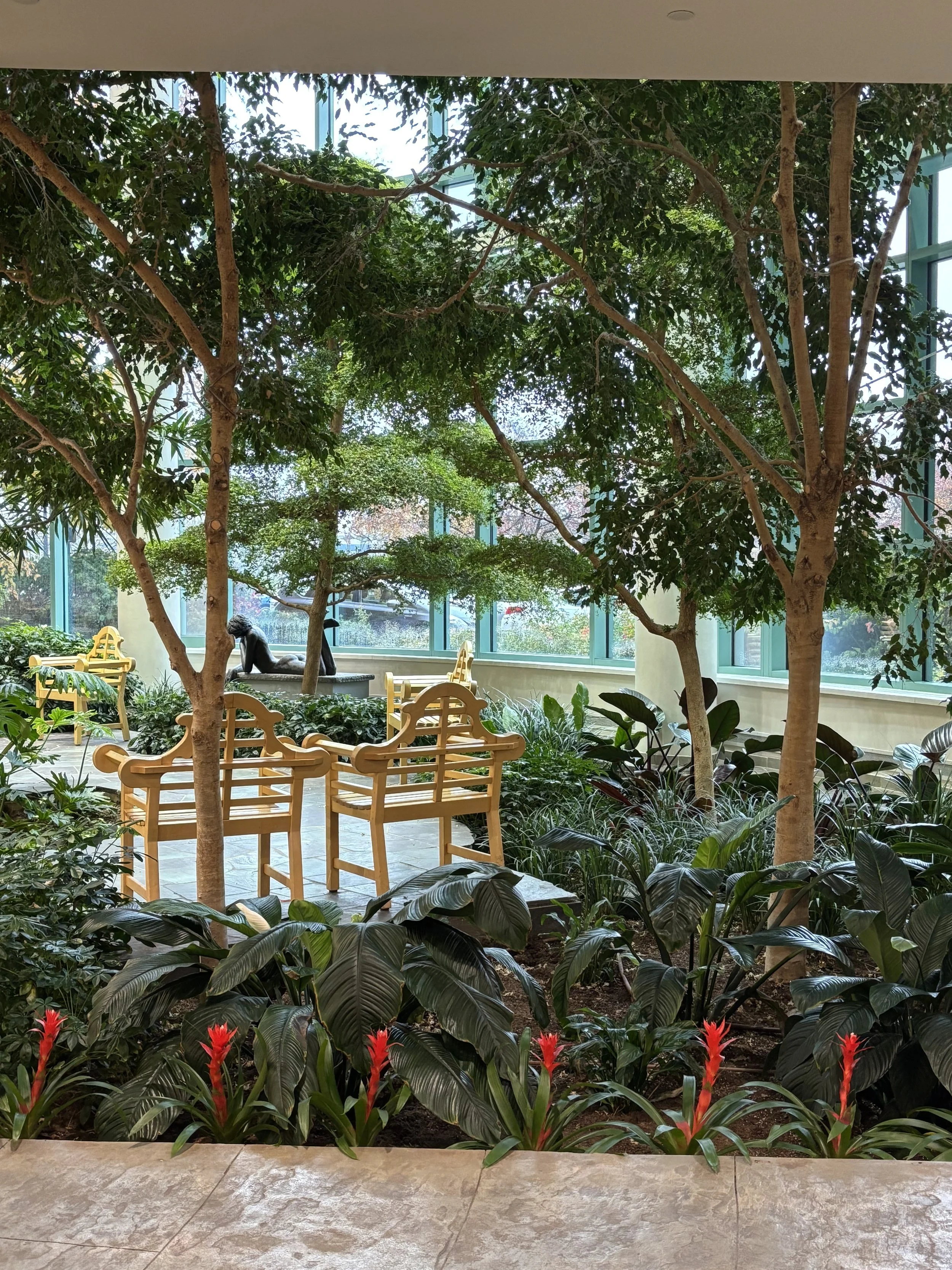 Chairs sit in an sunny atrium surrounded by natural landscapes.