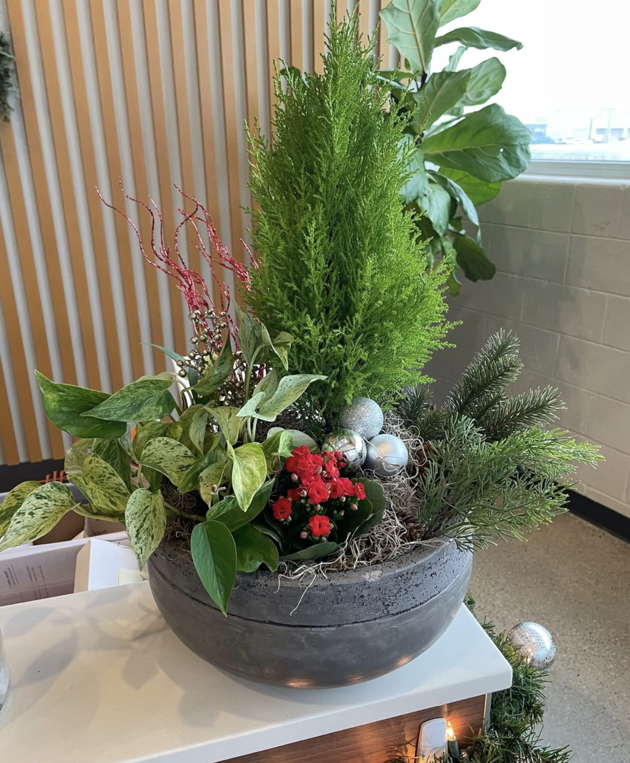 Holiday container arrangement with cypress, pothos, red kalanchoe, and silver ornaments.