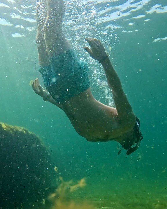 Explorations&hellip; 
Maybe I&rsquo;ll paint some of these scenes.
#underwater #underwaterphotography #swimming #lakeontario