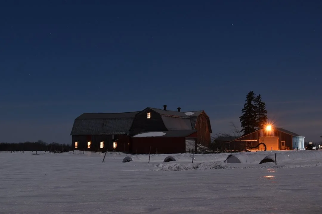 Inspiration from winter scenes