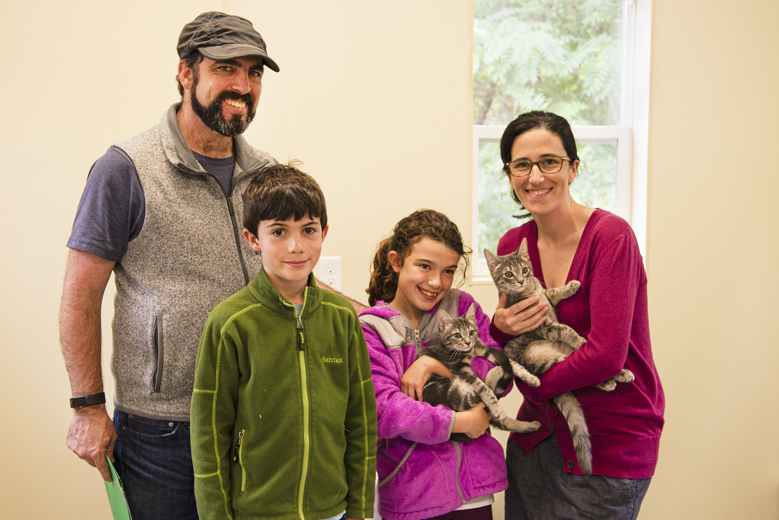 Adoption at Gifford Cat Shelter. Brighton, MA