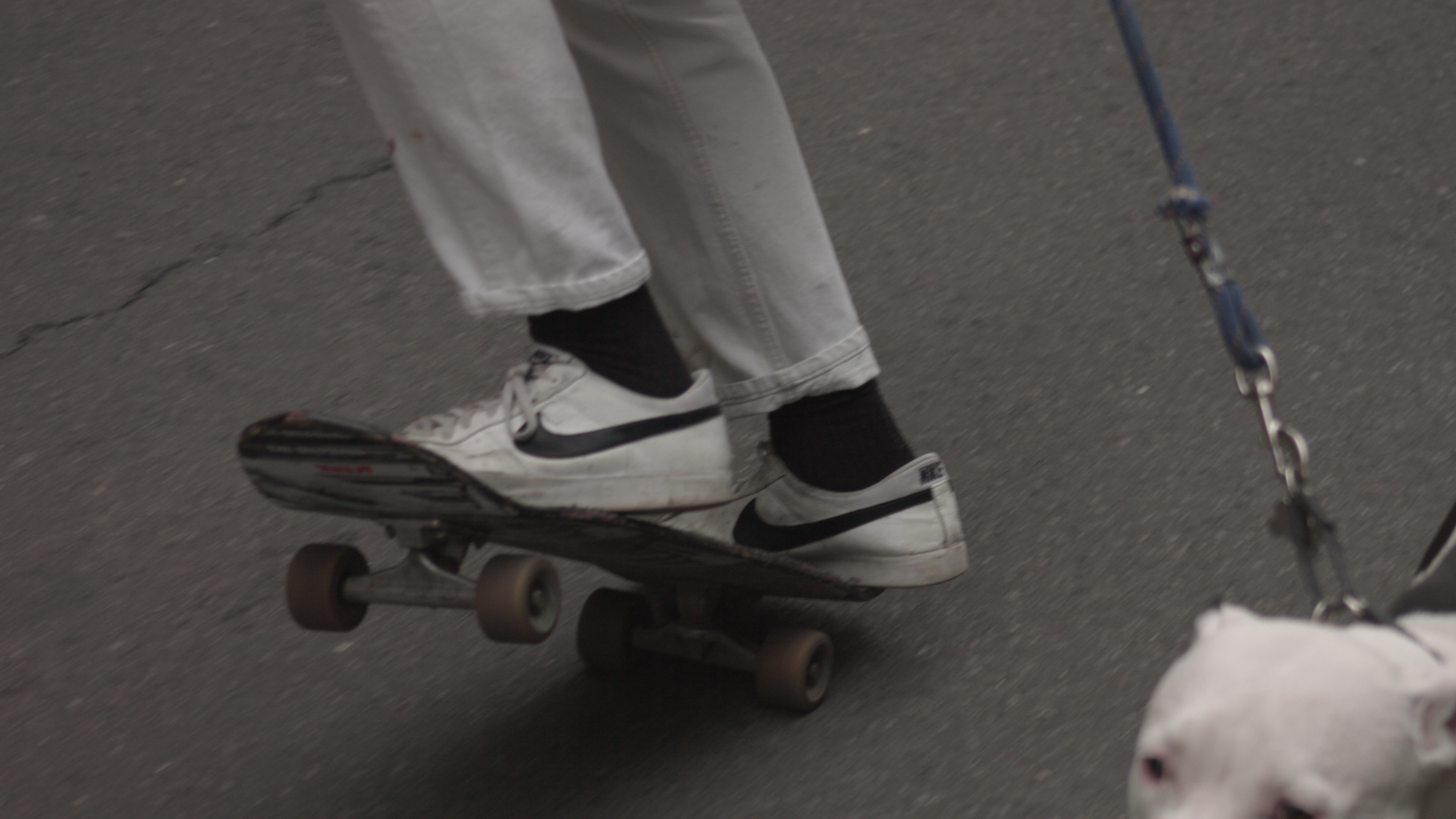 Sequence_Full .00_00_32_20.Still008.png