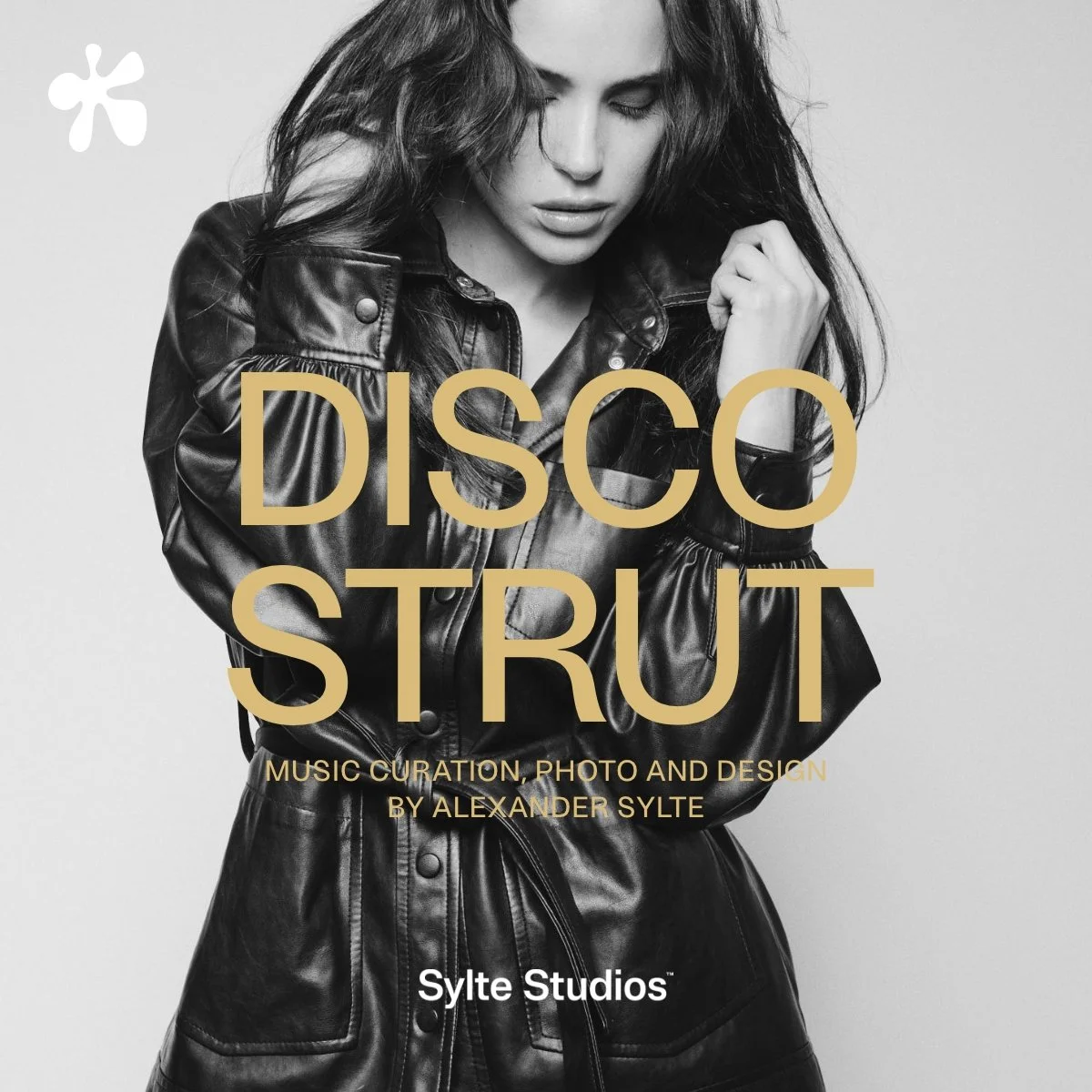 Sylte Studios Disco Strut playlist