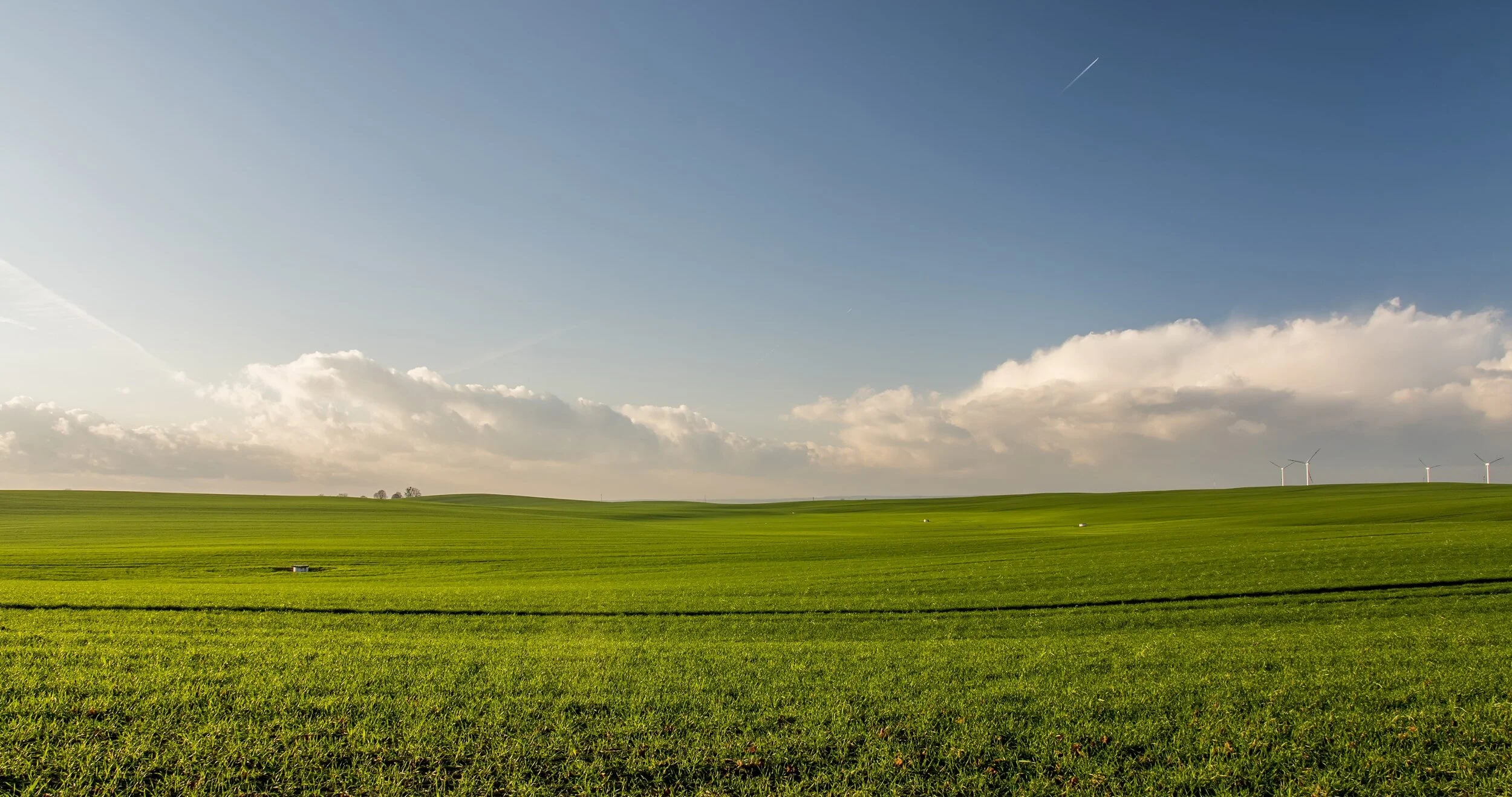 agriculture-countryside-crop-cropland-388415-min.jpg