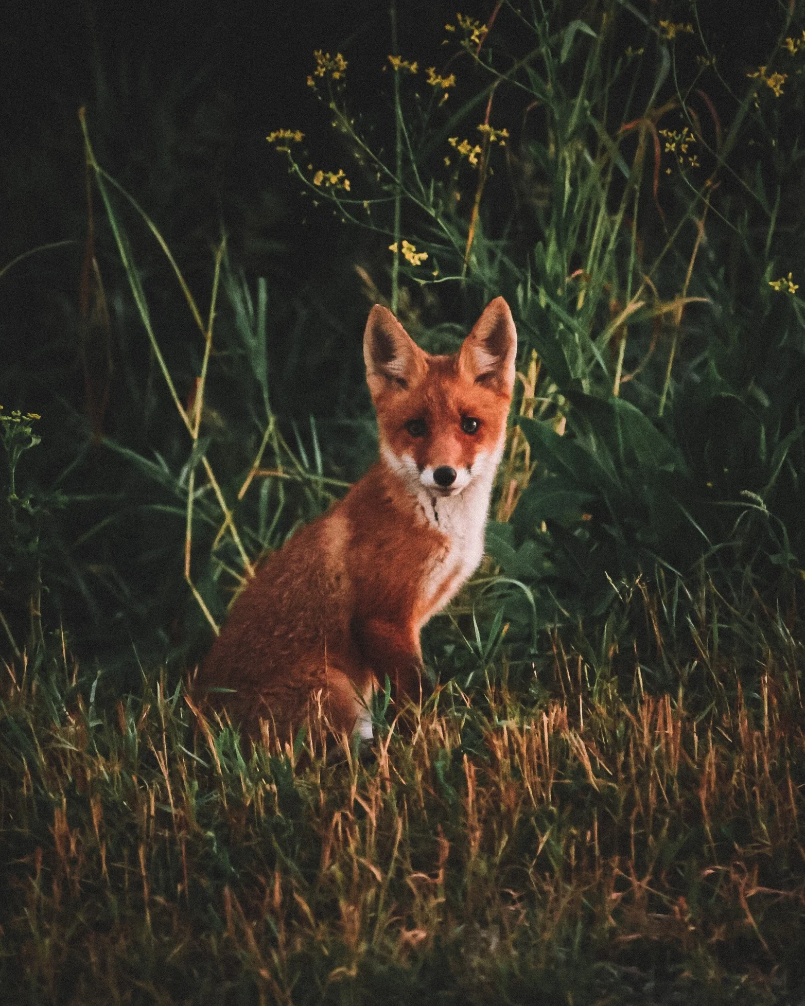 Suvi 21' / Summer 21'