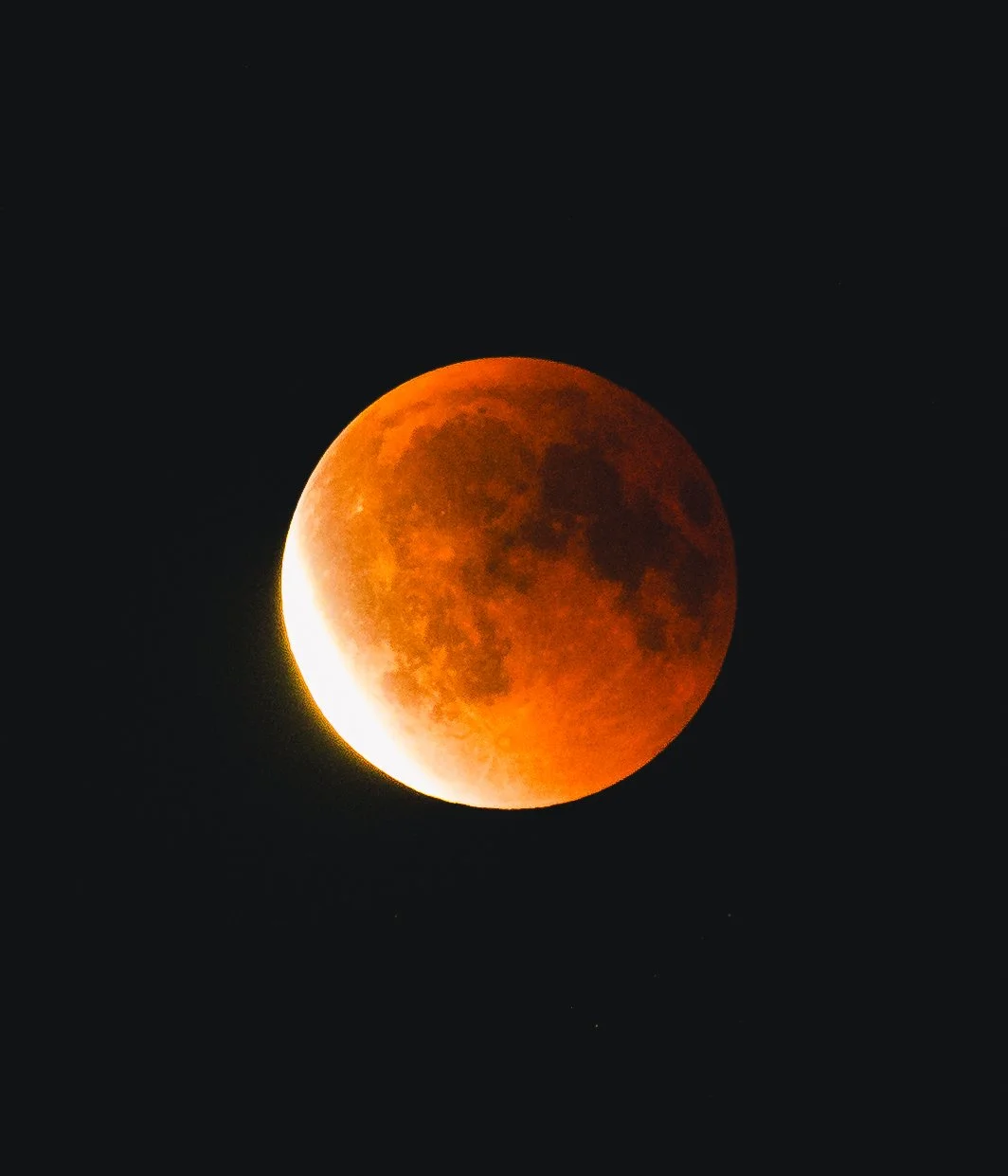 537A5981.jpg