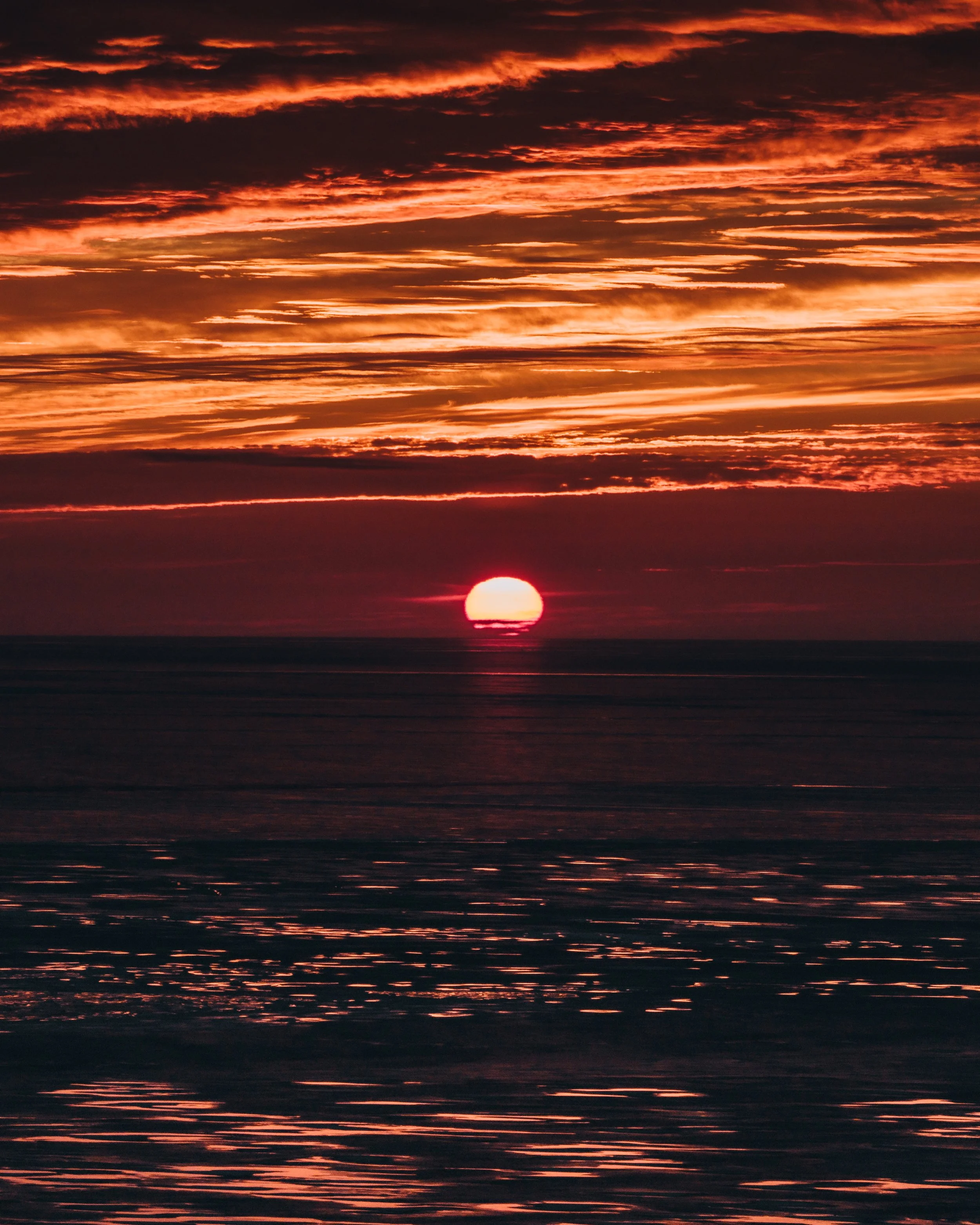 DJI_20260304000941_0456_D.jpg