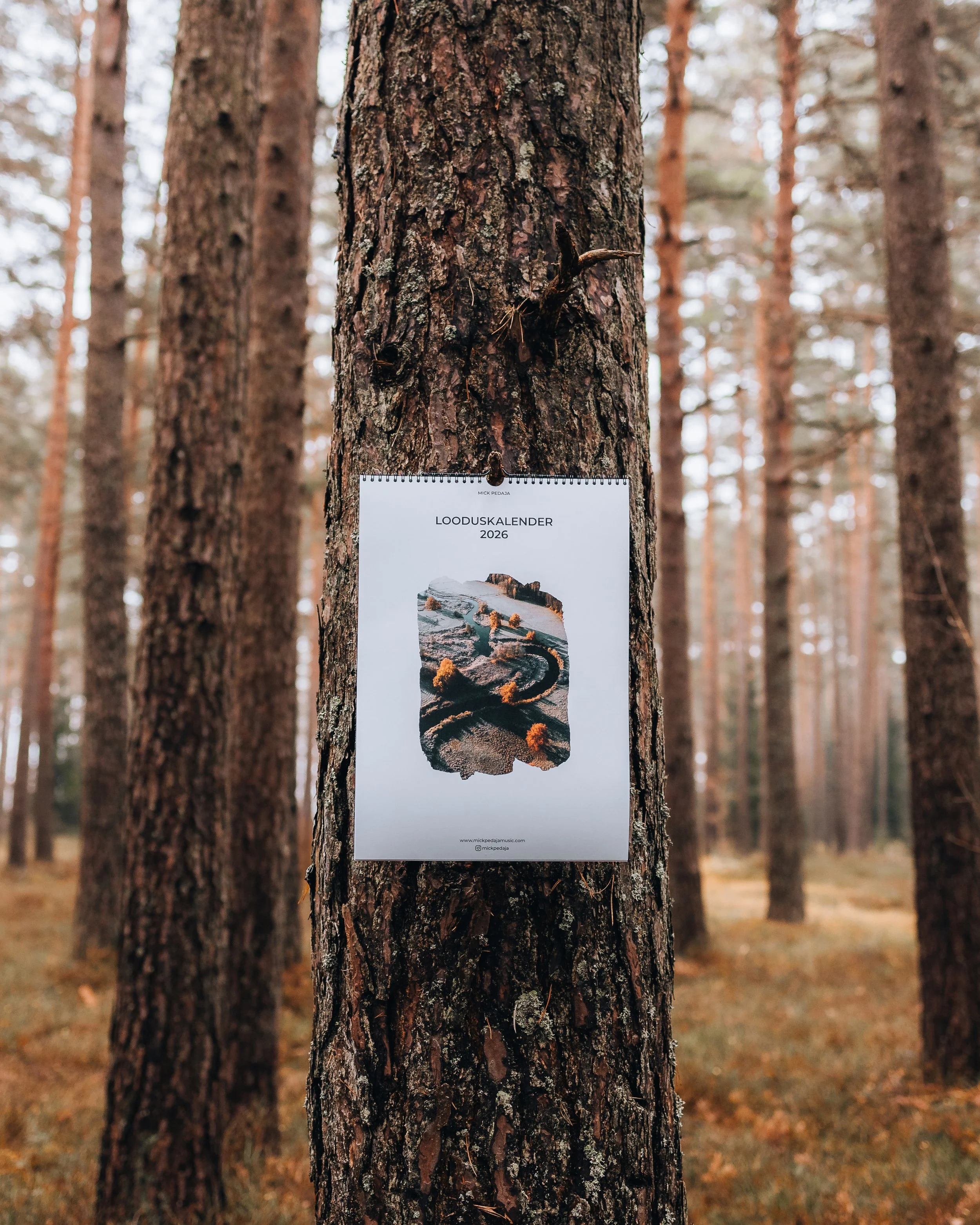 Mick Pedaja looduskalender 2026 / Sold out