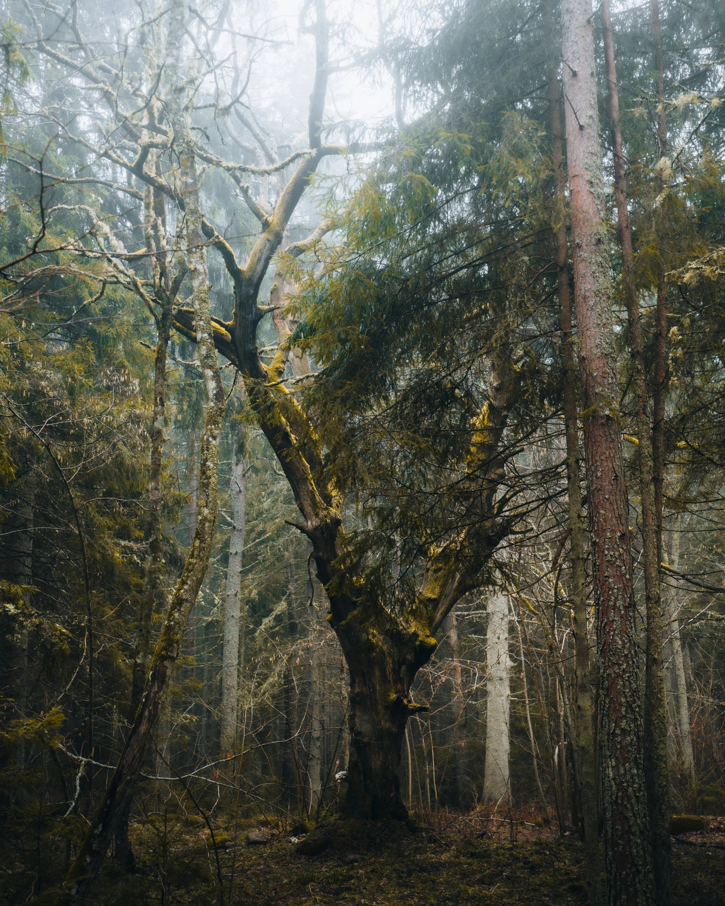 DJI_20260317183445_0017_D.jpg