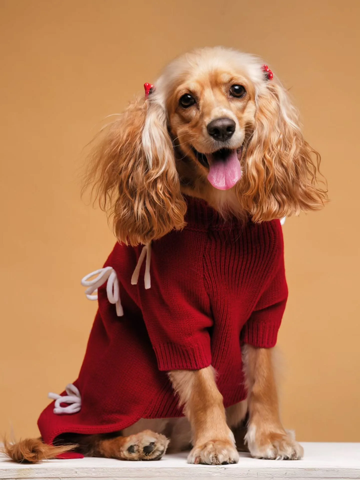 Cocker Spaniel que conquist&oacute; el estudio con su carita dulce. Sesi&oacute;n de Perrito en Estudio Fotogr&aacute;fico BOOX

#PetPhotography #DogPhotography #CockerSpaniel #PetPortraits #DogLovers #Mascotas #DogModel #CuteDogs #PerrosFelices #Pet