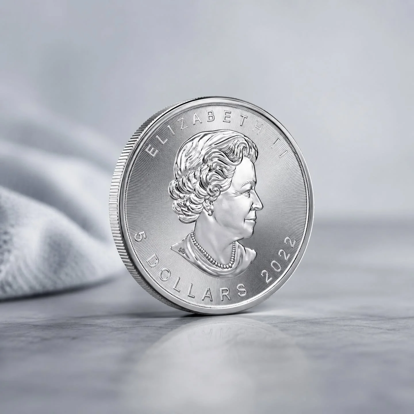 2022 Canadian Silver Maple Leaf Coin &ndash; 1 oz .9999 Fine Silver

Own a stunning 2022 Canadian Silver Maple Leaf coin crafted from 1 troy ounce of .9999 fine silver. Featuring the iconic maple leaf design and exceptional detail, this bullion coin 