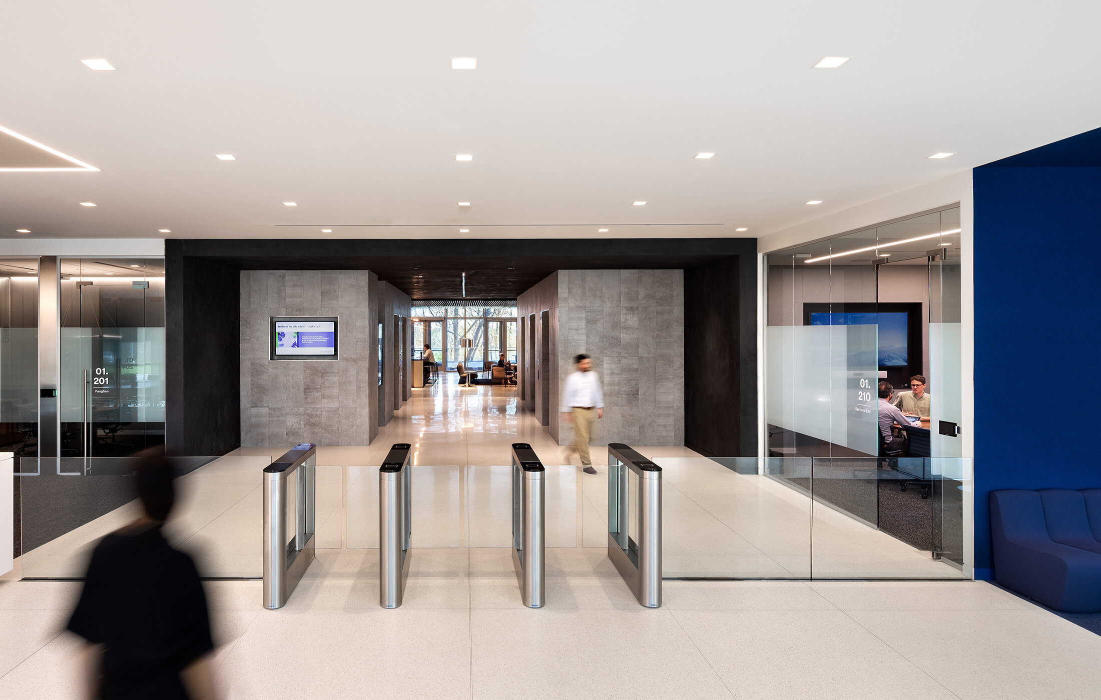 Artboard 1 copy 5.jpg