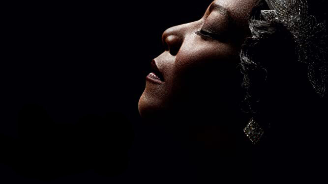 Close-up profile of an elegant woman with dramatic lighting, wearing a sparkly hair accessory and earrings.