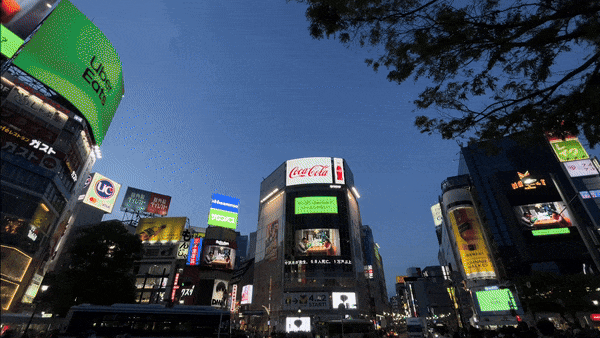 ShibuyaCrossingNight.gif