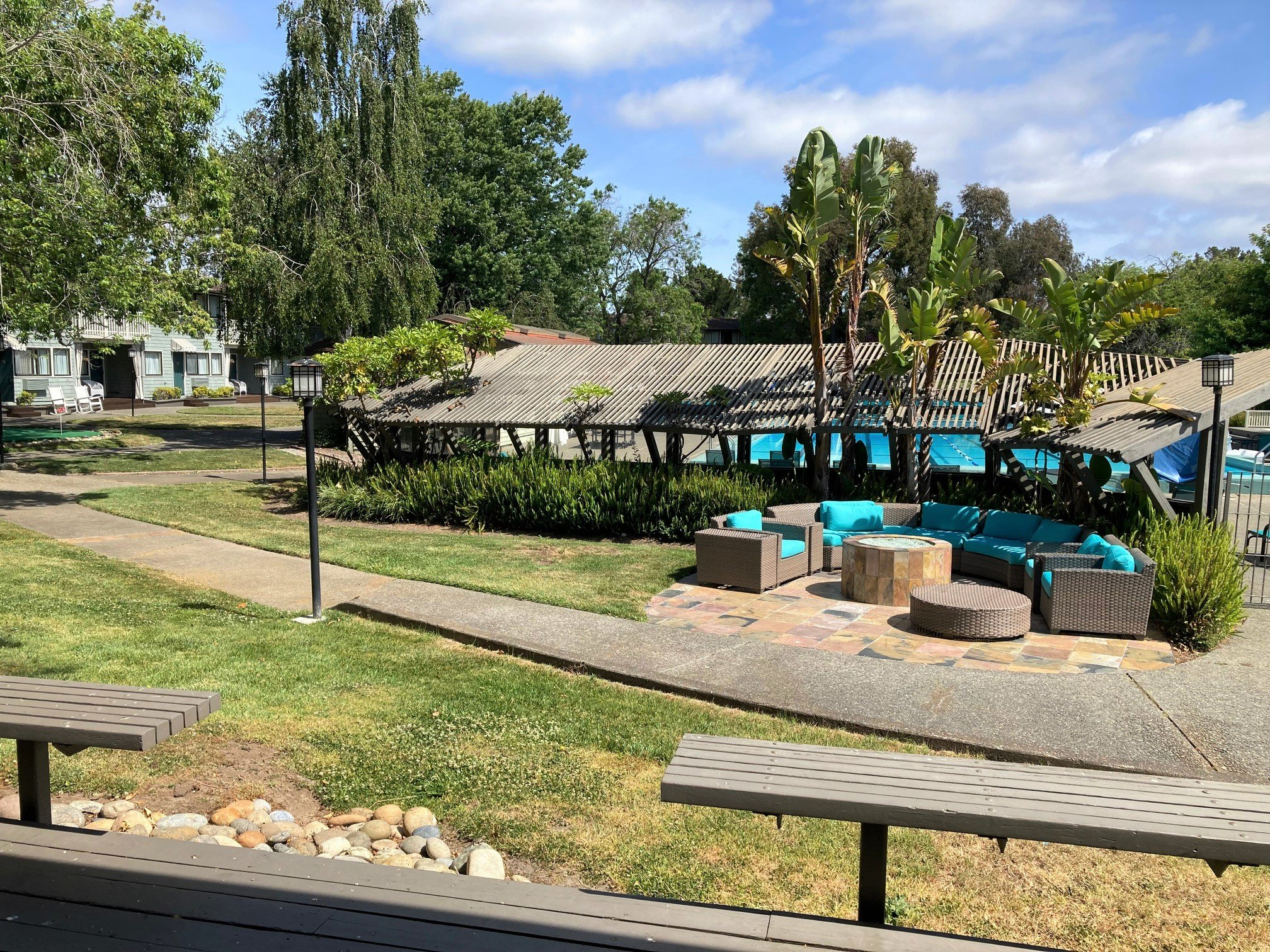 view from conf room.jpg