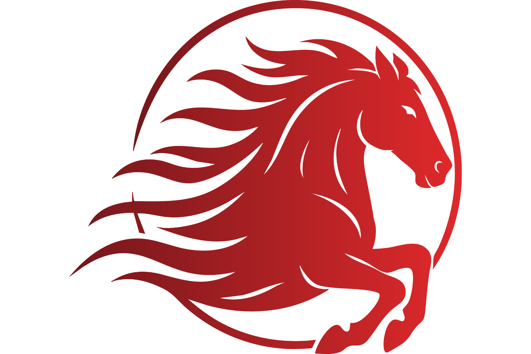 The Year of the Fire Horse