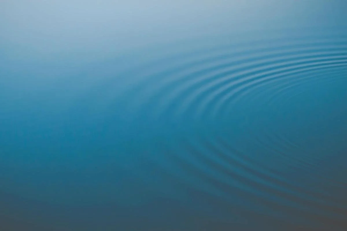 Buddhist Vocabulary: Karma