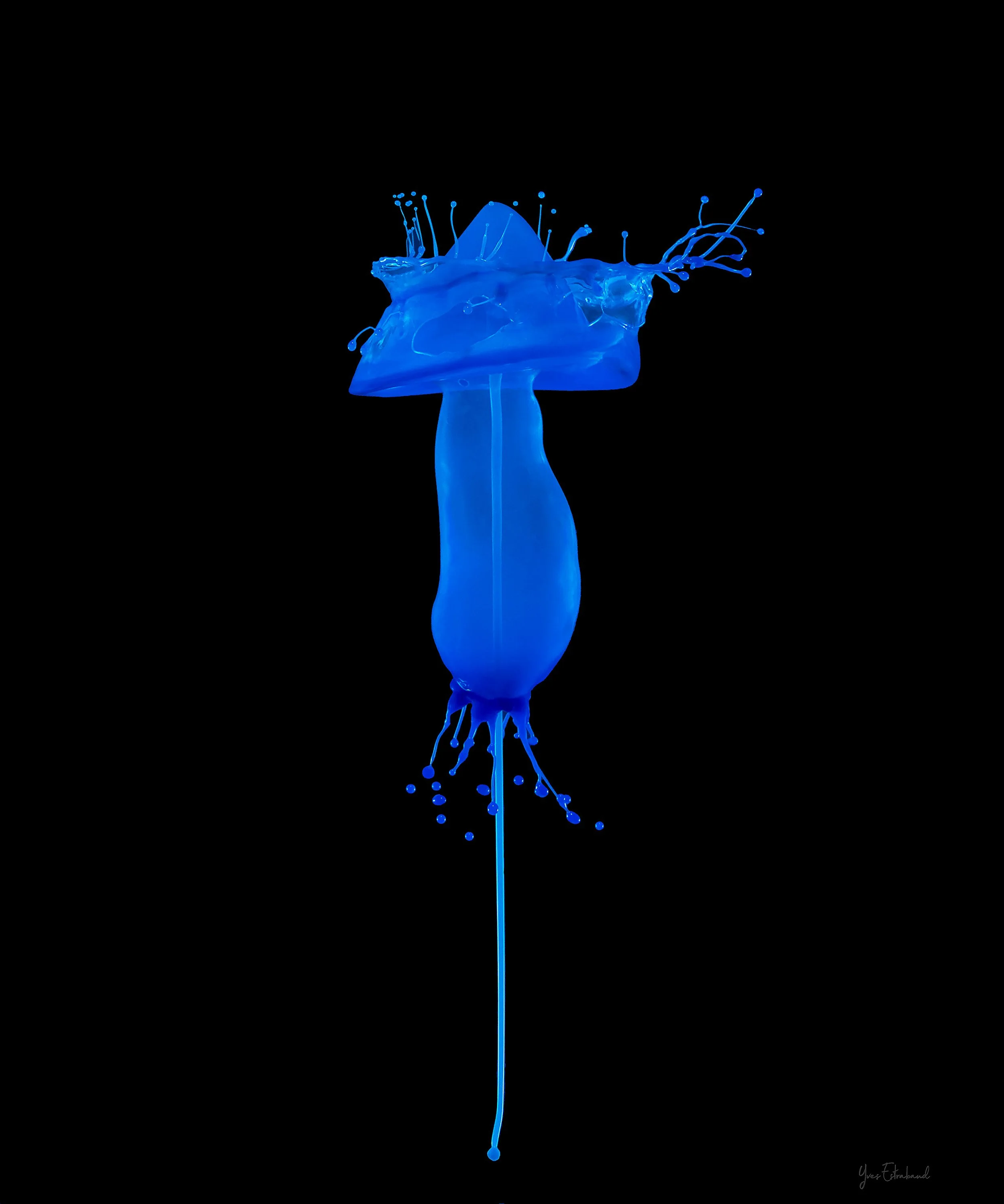 drop collision 2024-04-22- 58.jpg