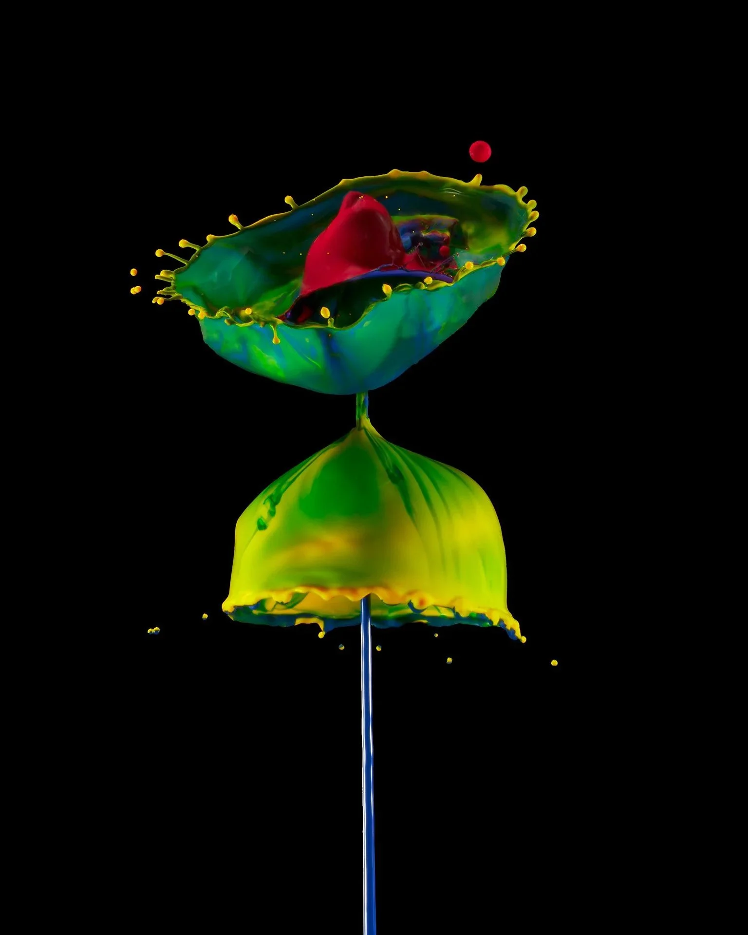 Drop+collision+2026-03-14-132.jpg