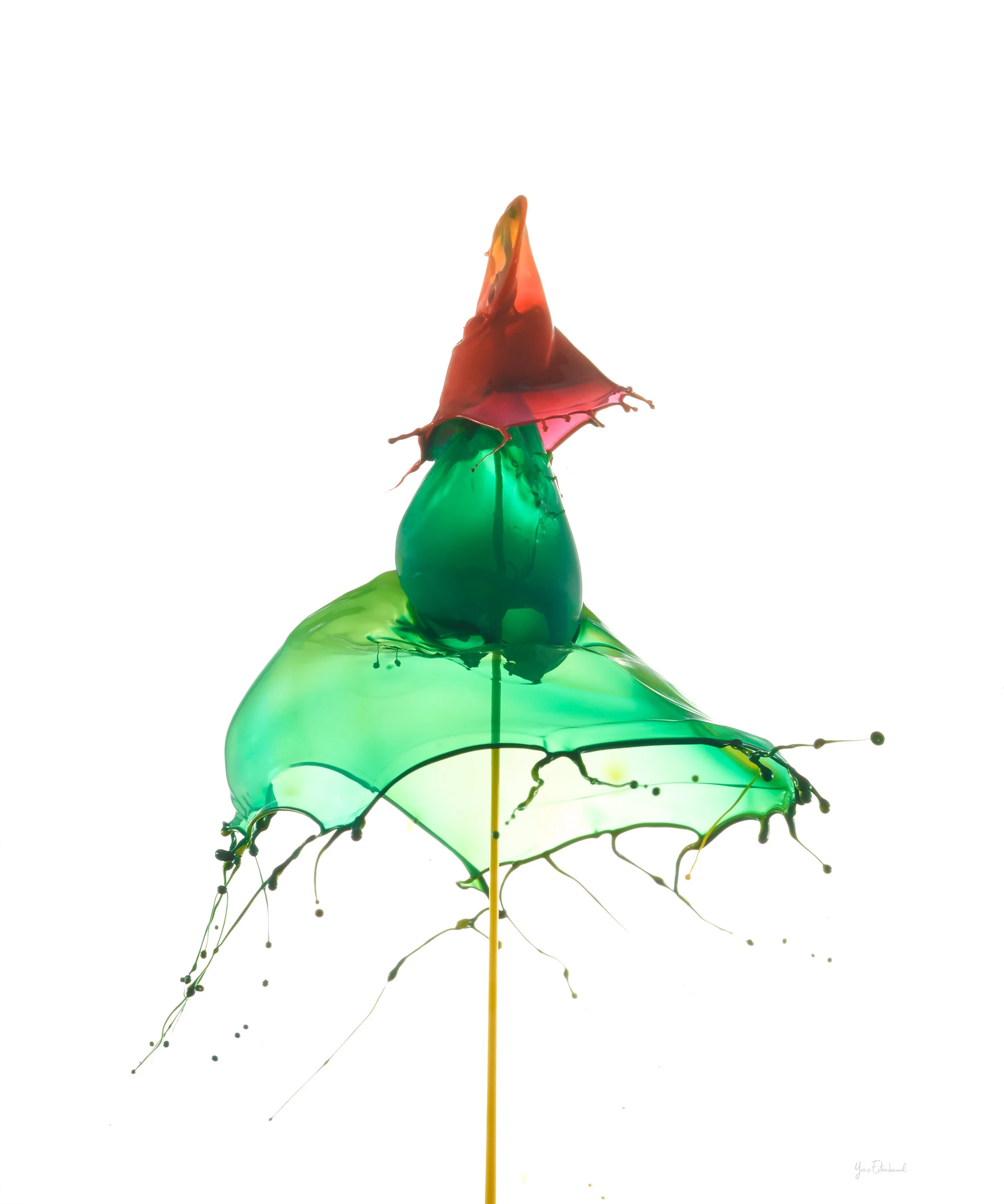 Drop collision 2025-10-20-596.jpg