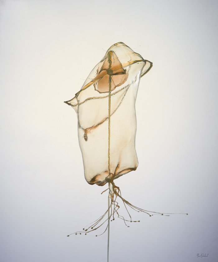 drop collision 2023-06-03- 27