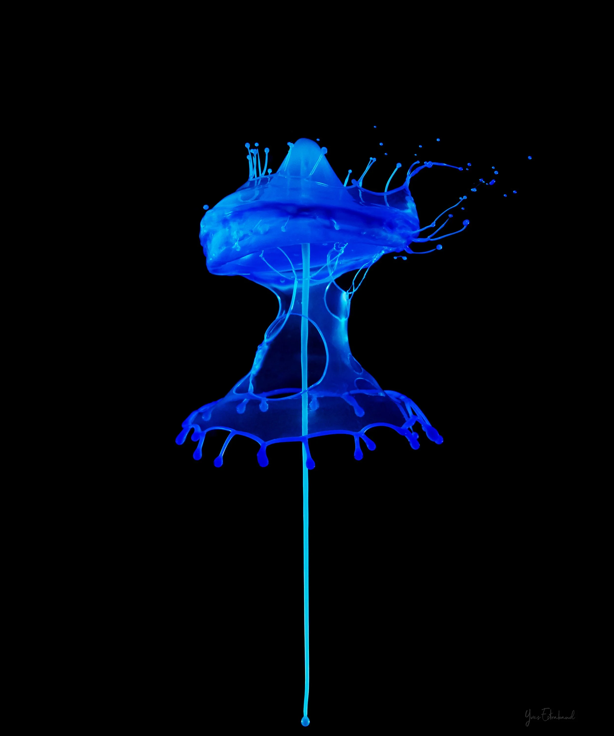 drop collision 2024-04-22- 42.jpg